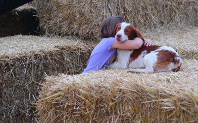 Guest Hugs Dog On Hay Bale